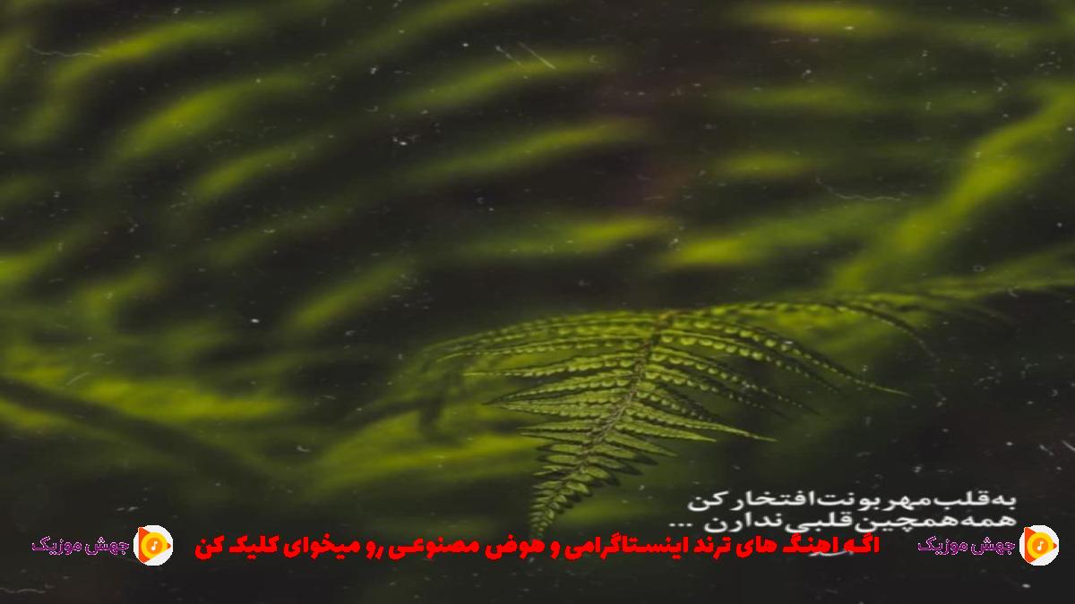 عکس آهنگ انقده خوبی میخوام زیر پات گل بچینم از هایده و شادمهر